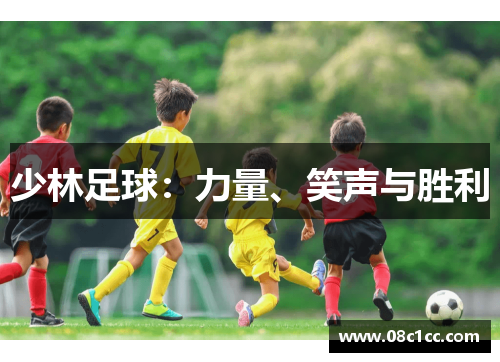 少林足球：力量、笑声与胜利